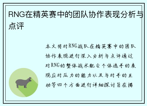 RNG在精英赛中的团队协作表现分析与点评